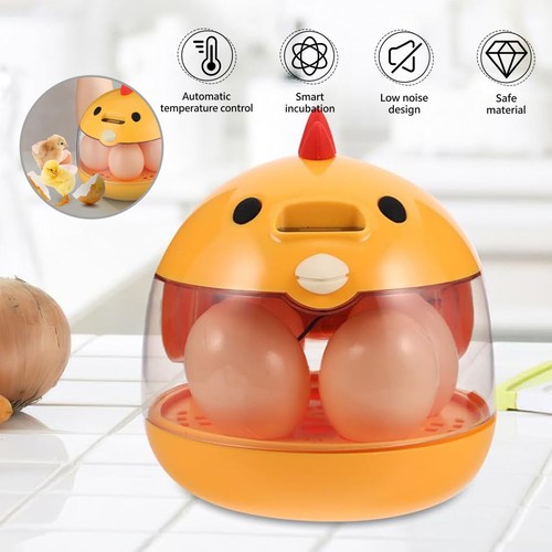 Egg incubator eggs - incubator,