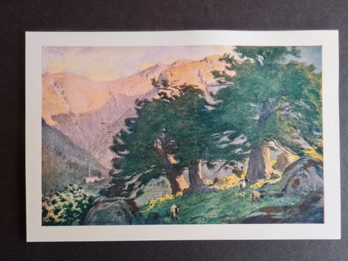 Antique 1908 print - ,