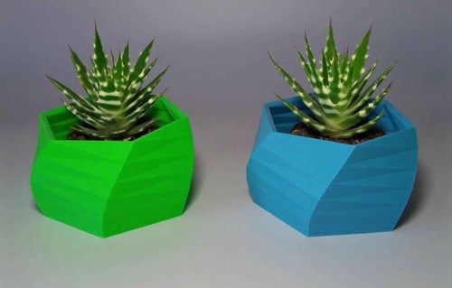House cactus plant pot - house,