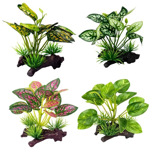 Reptile vivarium decoration - reptile,