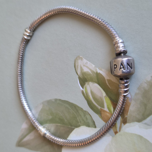 Genuine pandora 925 ale silver - pandora,