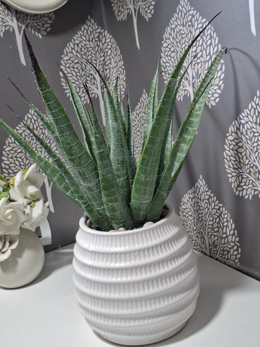 Artificial aloe vera plant - artificial, in