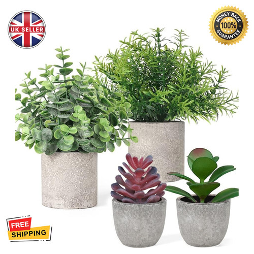 Set artificial plants in - set,
