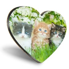Heart MDF Coasters - Gorgeous Kittens Garden Cats Animals  #8663