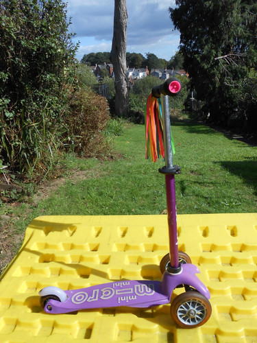 Micro mini purple wheel - mini,