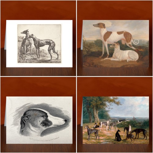 Greyhound art print greeting - art,