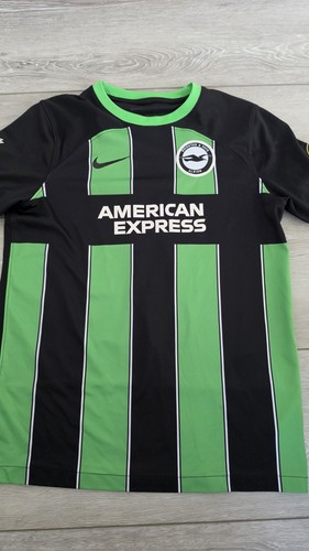 Brighton hove albion - hove,