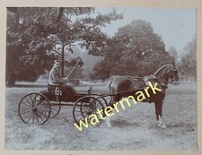 Horse & carriage, Ross-on-Wye, Herefordshire, c1910s - Old Photo