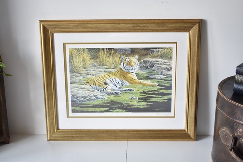 Framed tiger print stephen - tiger,