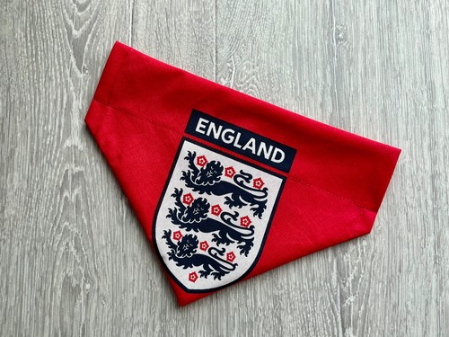 Three lions england - lions, football