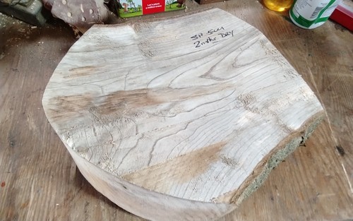 Large spalted elm bowl - large,