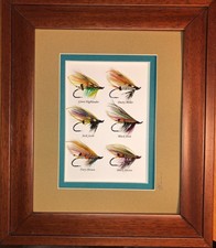 6 Framed and Mounted Salmon