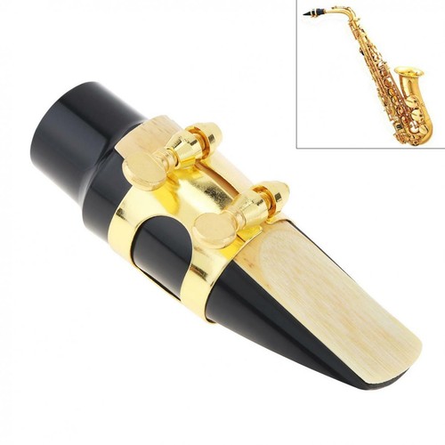 Alto sax saxophone - be,