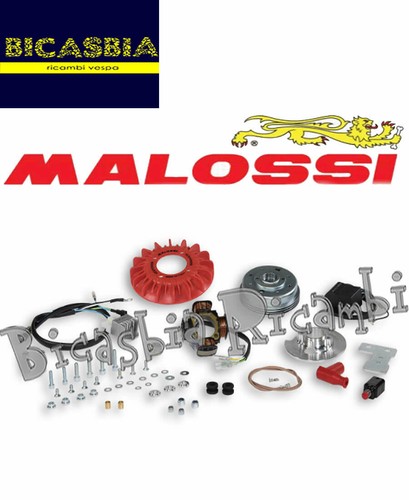 13065 malossi electronic - 13065,