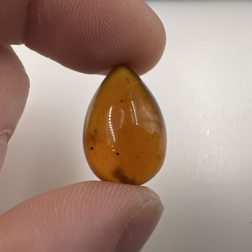 Burmese cretaceous amber with