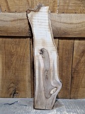 Live Edge Black Walnut Slab