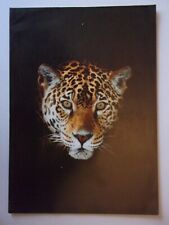 JAGUAR DAIMLER RANGE orig 1996