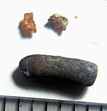 SPECIAL! Rare Lozenge Torpedo Nodule UK 140 M.Y.A. World Famous Wealden Amber