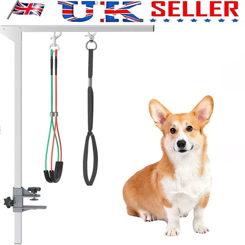 Dog grooming table - dog,