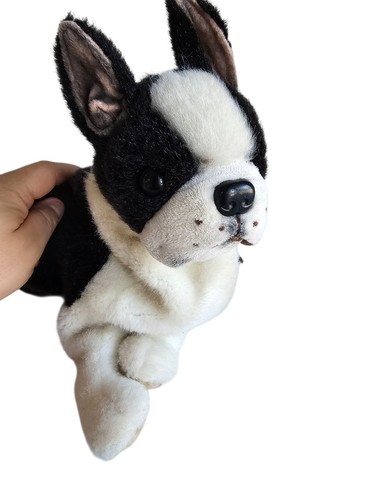 Puppy heart black and - black,