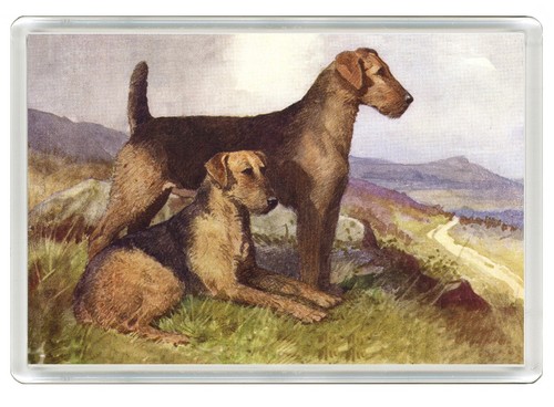 Airedale terrier dog fridge - terrier,