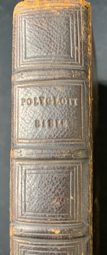 Samuel bagster polyglott - polyglott, bible