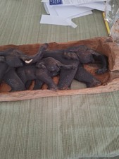 The Elephant Brigade