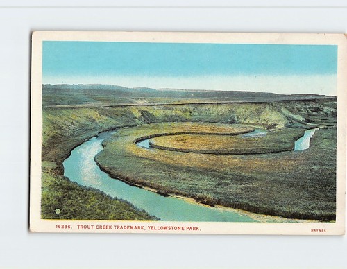 Postcard trout creek trademark - trout,