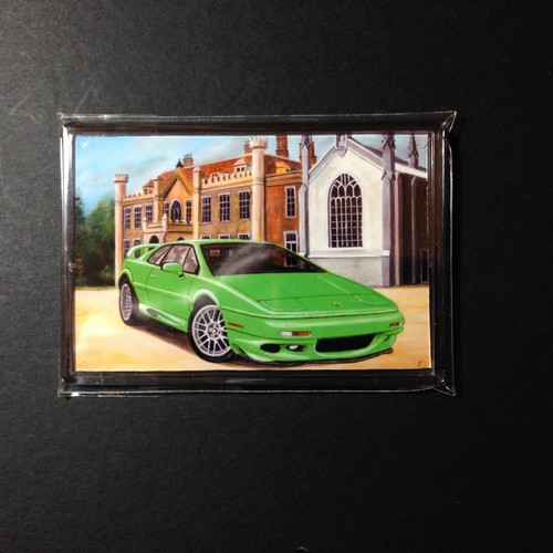 Lotus esprit clear rigid - lotus,