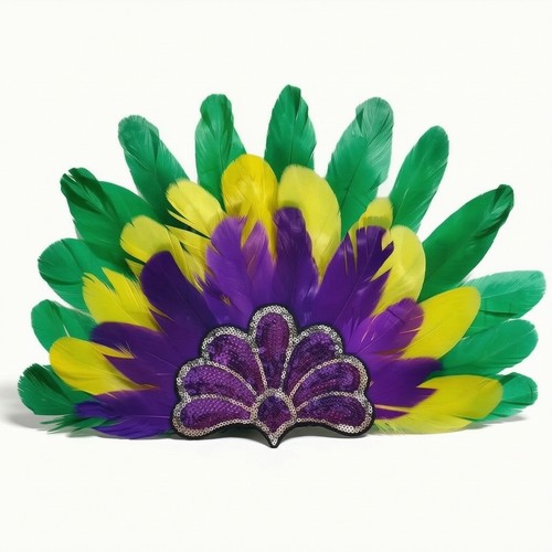 Feather headdress feathered - feather,