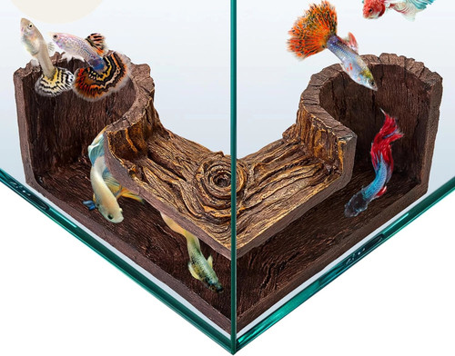 Aquarium cave - aquarium,