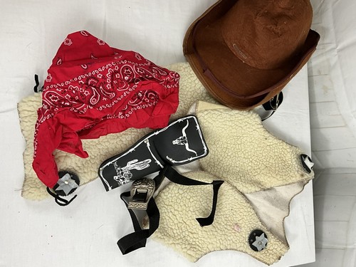 Child cowboy halloween - cowboy,