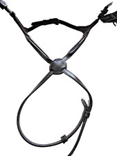 Velociti rapida Mexican grackle noseband cob brown