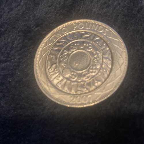 Rare silver pound coin - silver, 2
