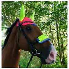 Equisafety Charlotte Dujardin