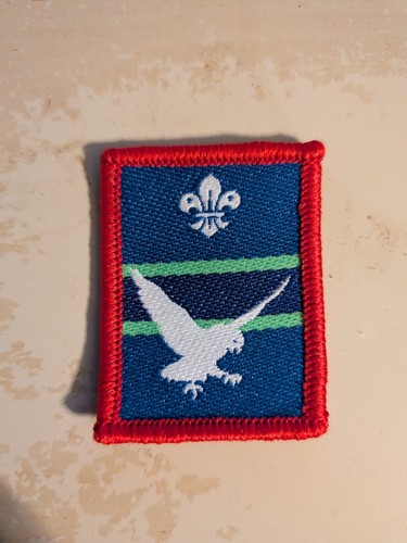Scout patrol badge - badge,
