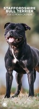 Staffordshire Bull Terrier Dog 2026 Slim Calendars