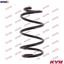 SUSPENSION SPRING RA2973 FOR