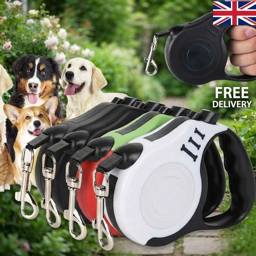 Retractable dog lead training - retractable,