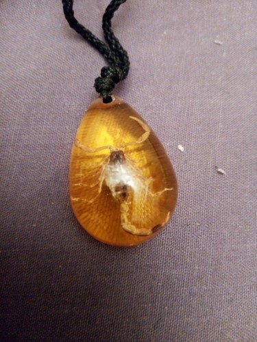 Amber with golden - amber,
