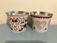 Emma Bridgewater For M&S Plant