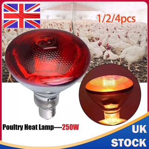 Infra red heat bulb - infra,