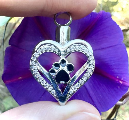 Pet cremation jewelry - pet,