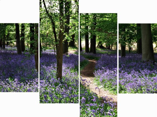 Large panel set - large, bluebell