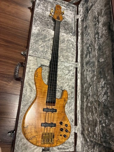 Str guitars ls449 fretless - guitars,