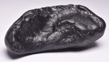 WHALE EAR BONE FOSSIL