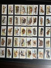 ADKIN-FULL SET- WILD ANIMALS OF THE WORLD 1923 (50 CARDS) VG Condition