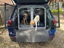 Trans K9 B27E Double Dog Crate