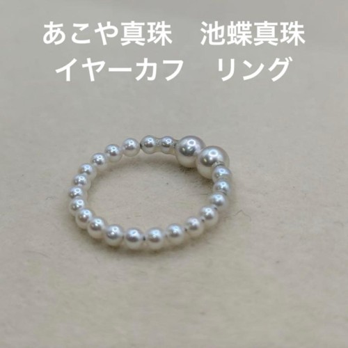 079 akoya pearl - 079, pearl,