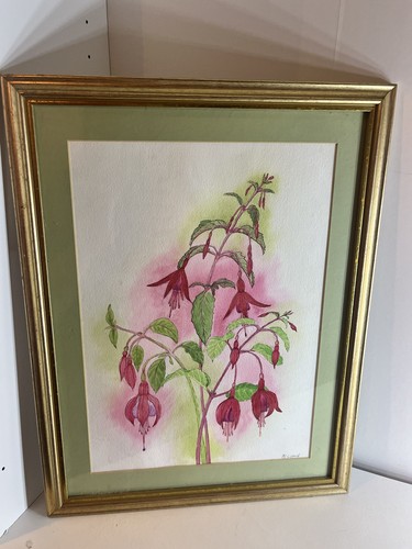 Original botanical framed - original,